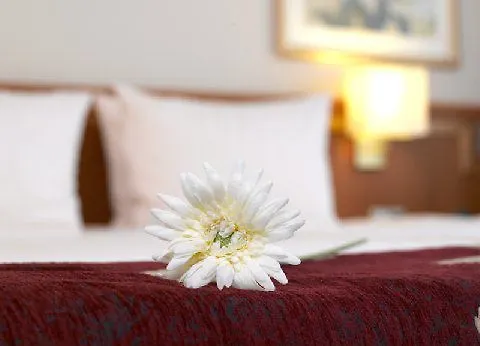 Leonardo Bonn Airport Hotel Köln